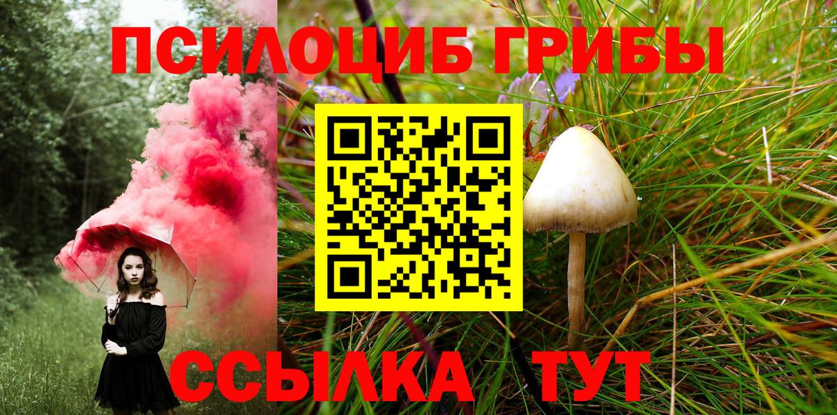 Ефремов  Псилоцибиновые грибы прущие грибы  Псилоцибиновые грибы ЛСД  Вход с VPN 